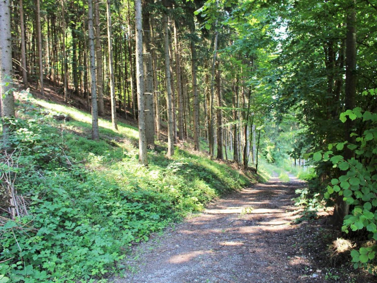 Apartment In Koettmannsdorf Near Bathing Lake Wurdach Dış mekan fotoğraf
