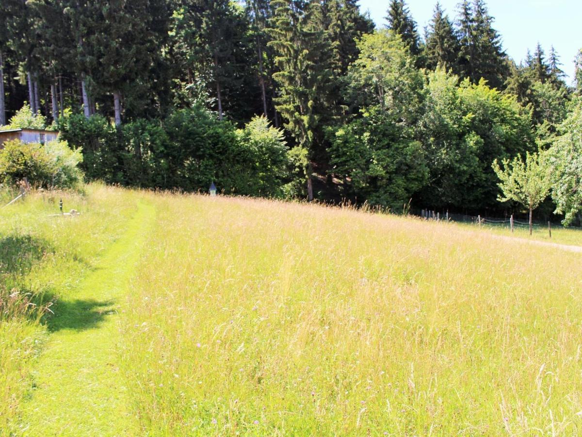 Apartment In Koettmannsdorf Near Bathing Lake Wurdach Dış mekan fotoğraf
